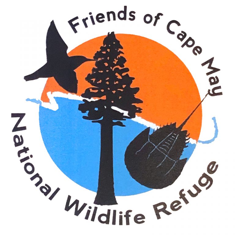Friends of Cape May National Wildlife Refuge