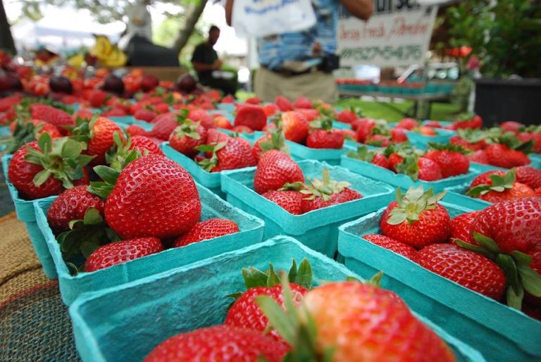 Strawberries 1