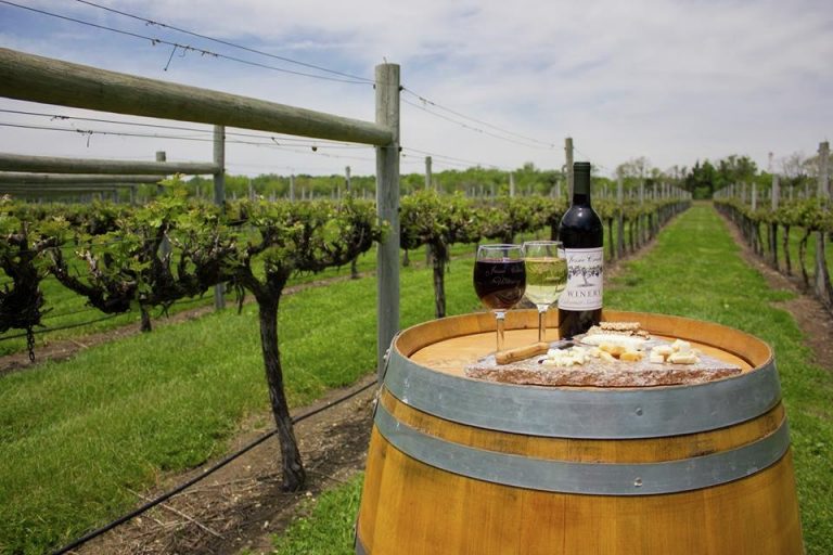 13310583_585367774974237_7831180347471596160_n