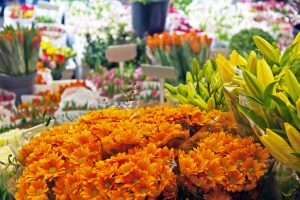 shutterstock_134823359