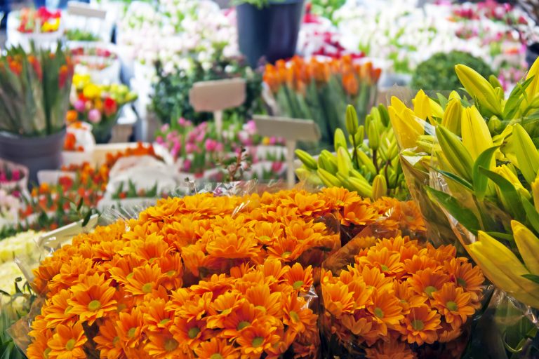 shutterstock_134823359