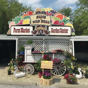 35357266_2161772277196188_3780797111520460800_n