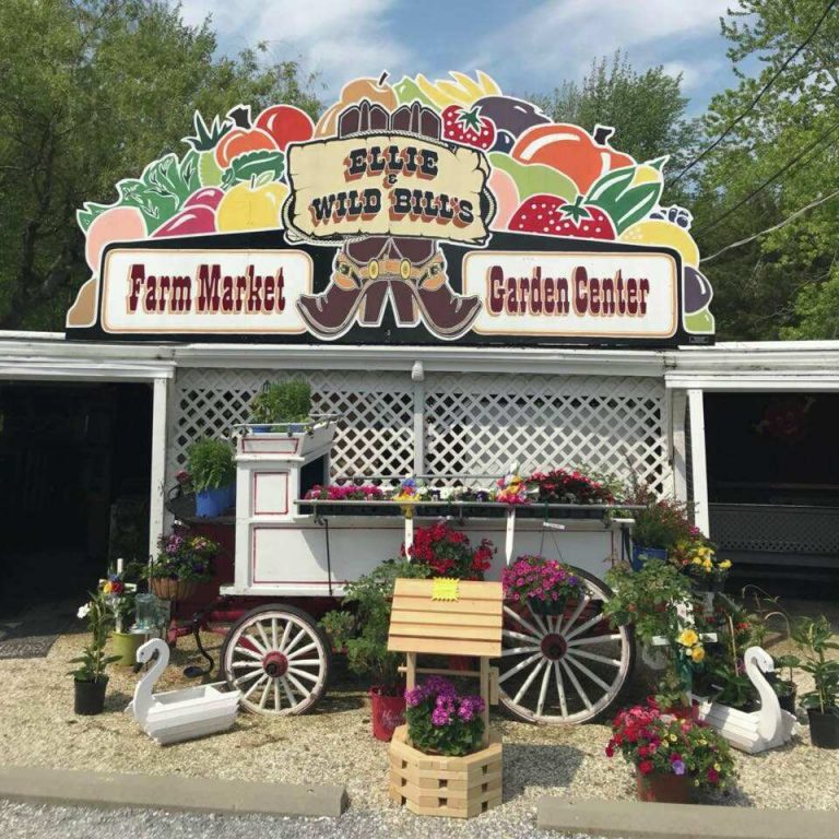 35357266_2161772277196188_3780797111520460800_n