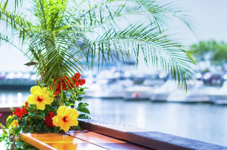 13876132_10154371197657498_348049458169015495_n