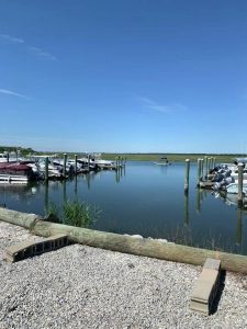 62121346_2505821476116897_615215706799079424_n