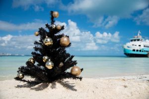 shutterstock_1557454472