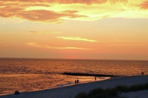 dotheshore_101359933_1901472163316034_7412270545306569947_n(1)